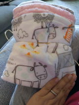 E-I-E-I-O - Baby Minky Blanket