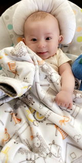 E-I-E-I-O - Baby Minky Blanket