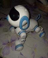 Zora G. review photo