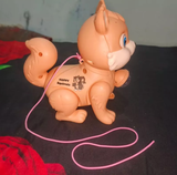 Kelby T. review photo