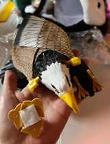Benjamin Q. review photo