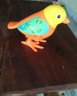 User picture