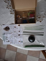 Corry S. review photo