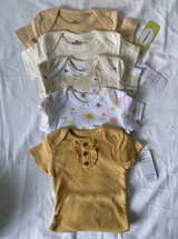 Aneta review photo