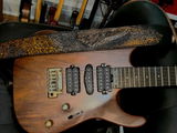 Billy J Collins review photo