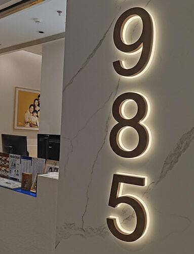 Automatic Dusk-to-Dawn Backlit LED House Numbers - Modern Exterior Address Lighting