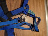 Claudi review photo