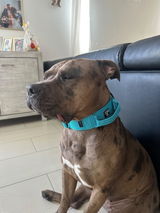 Dunja review photo