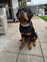 Marsha und Ares review photo