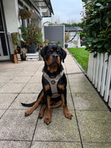 Marsha und Ares review photo