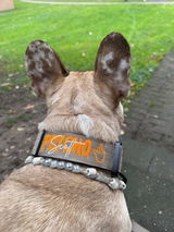 Sharon review photo