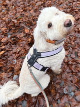 Fabienne review photo
