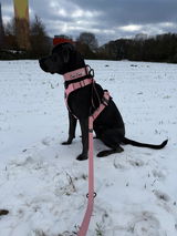 Pervin review photo