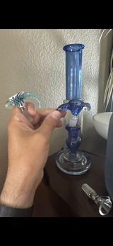 Paul review photo