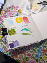 Abigail Carless review photo