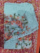 Anjali Singh review photo