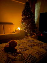 Cansu.S review photo