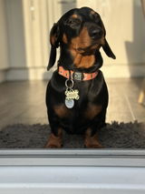 Amy M. review photo