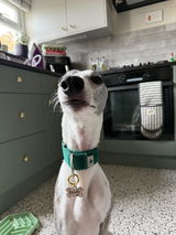 Maisie W. review photo