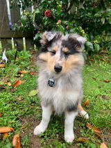 Sian P. review photo
