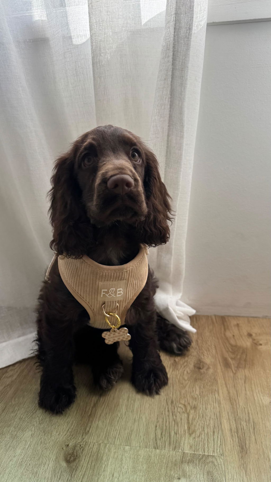 Beige And Tan Checkers Pet ID Tag