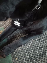 Renae B. review photo