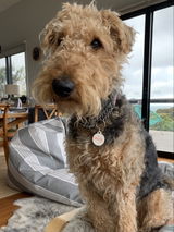 Trudy A. review photo