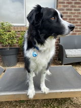 Koby review photo
