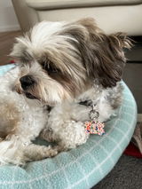 Bailey review photo
