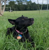 Jarrad W. review photo