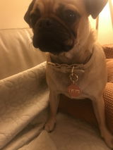 Briony review photo