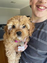Briony M. review photo