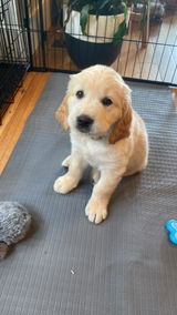 Ava W. review photo