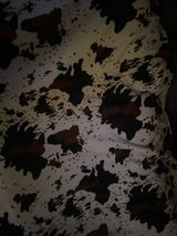 Elvir Omercehaic review photo