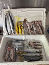 Tom (Pikezilla Fishing) review photo