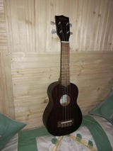 Harsh Thakur review photo