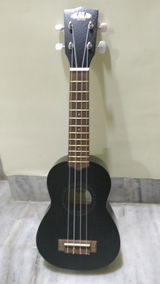 Warren Vaz review photo