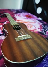Dinesh Patnaik review photo