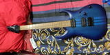 Nikhil Mollay review photo