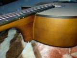 Sam Anderson review photo