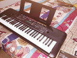 Ujjwal Pandey review photo