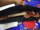 Dinesh Patnaik review photo