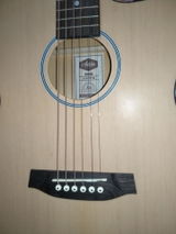 Sam Anderson review photo