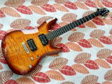 Digvijay Shekhar review photo