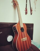Dinesh Patnaik review photo