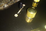 DS Kumar review photo