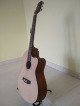 Sam Anderson review photo