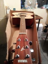 Anuj Patel review photo