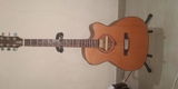 Gitartha Rabha review photo