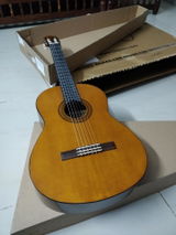 Vittaldas Prabhu review photo